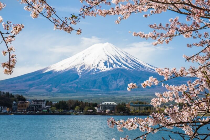 Fuji and Cherry Blosssoms