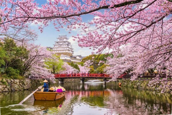 Spring in the River