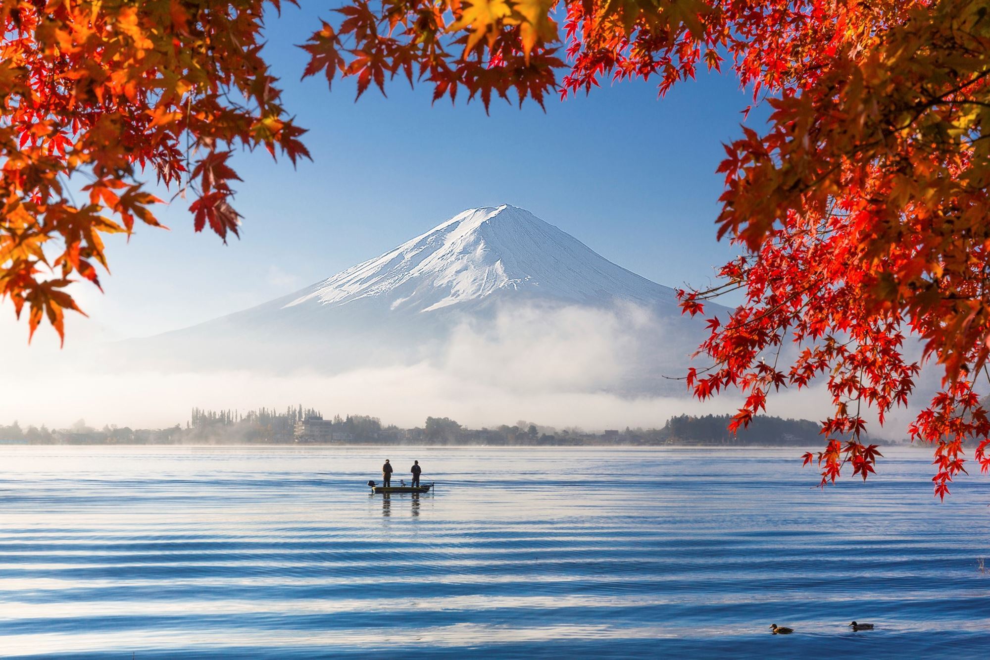 Fuji